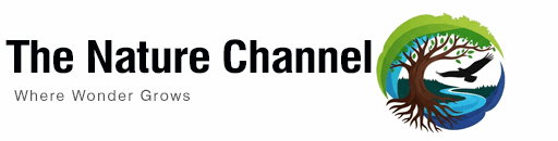 The Nature Channel